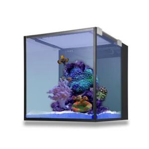 Kit Aquário Fusion Nano 10 - 1