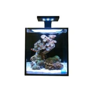 Kit Premium Aquário Fusion Nano 10 - 1