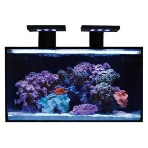 Kit Premium Aquário Fusion Nano 20 - 1