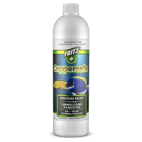 Fritz Coppersafe - 1