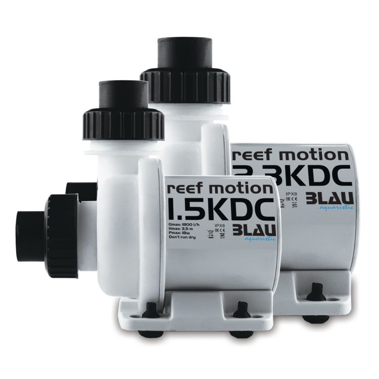 Reef Motion DC - 2