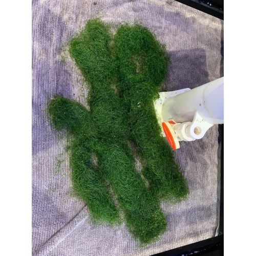 Reator de algas AR-PRO - 6