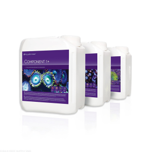 Component 1+2+3+ - 1