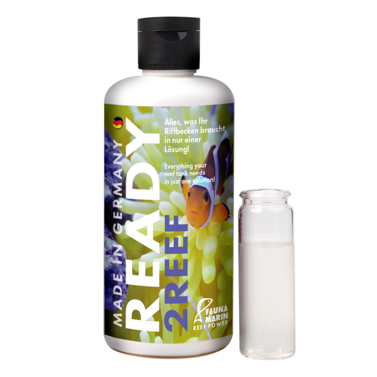 READY 2REEF - 1