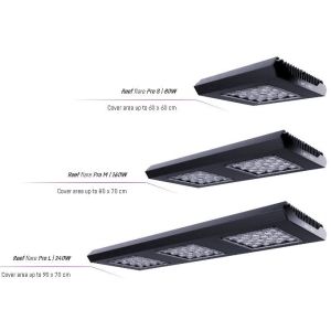 Reef flare Pro - 1 2