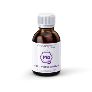 Molybdenum Lab (Mo) - 1