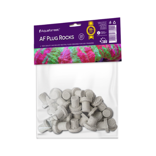 Plug Rocks - 1