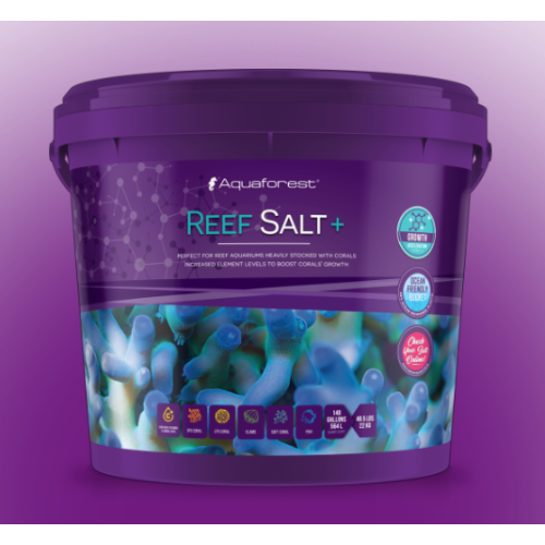 Reef Salt Plus + - 1