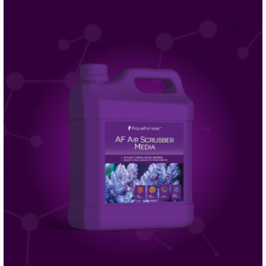 Air Scruber Media (Recambio) - 1