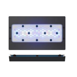 Radion XR30-G5 Blue - 1