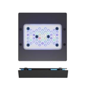 Radion XR15-G5 Blue - 1