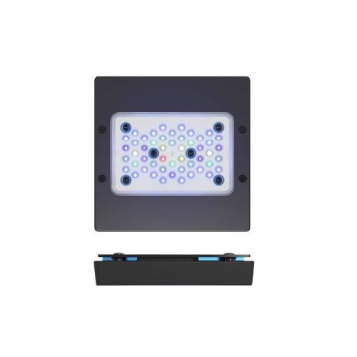 Radion XR15-G5 Blue - 1