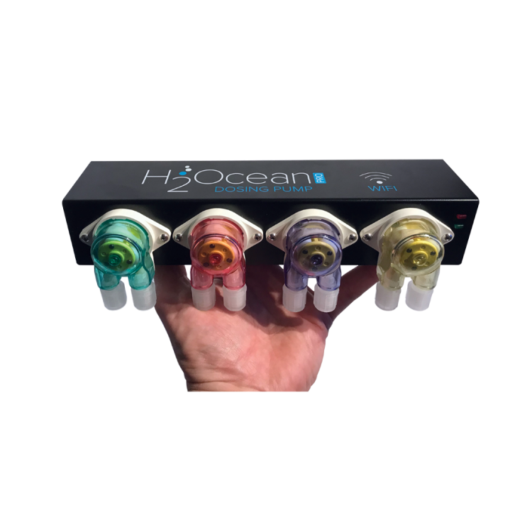 H2Ocean DDP4-PRO - 2