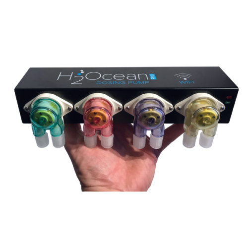 H2Ocean DDP4-PRO - 2