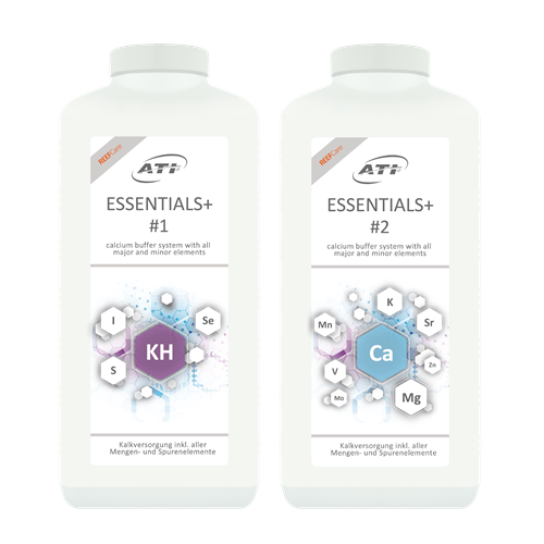 Essentials + ( Plus) - 1