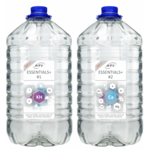 Essentials + ( Plus) - 1 2