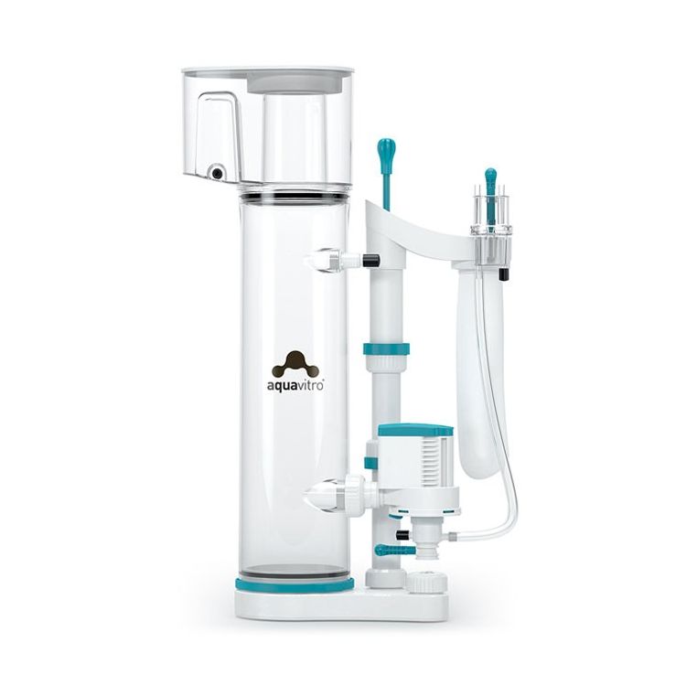 Skimmer Division - 4