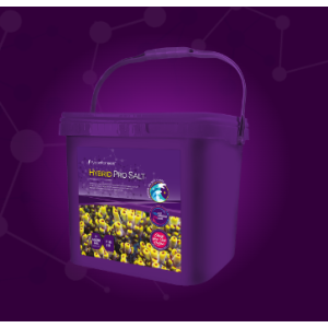 Hybrid Pro Salt - 5Kg - 1