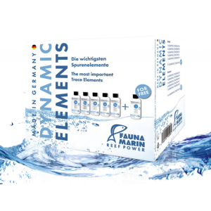 Dynanic Elements - 1