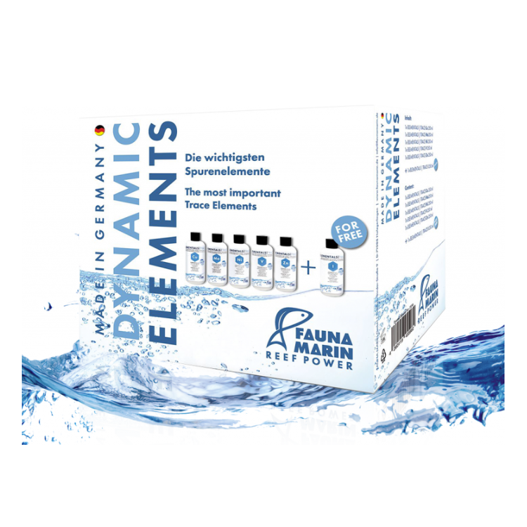 Dynanic Elements - 1