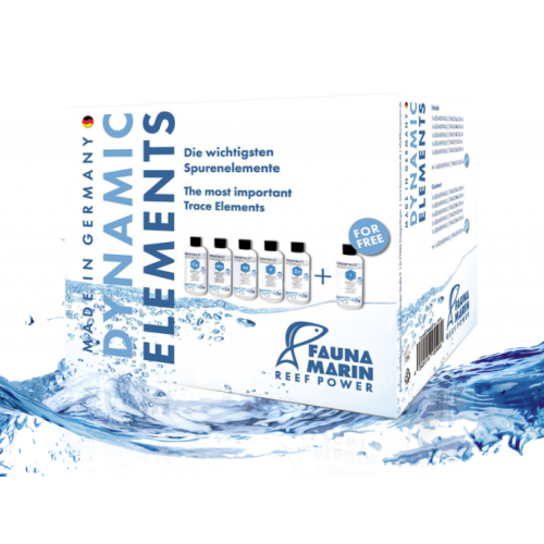 Dynanic Elements - 1 Dynanic Elements - 1