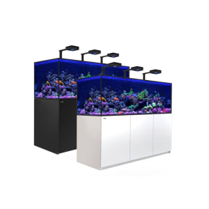 Reefer G2 S 850 Deluxe - 1