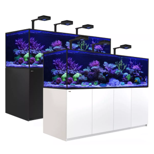 Reefer G2 S 1000 Deluxe - 1