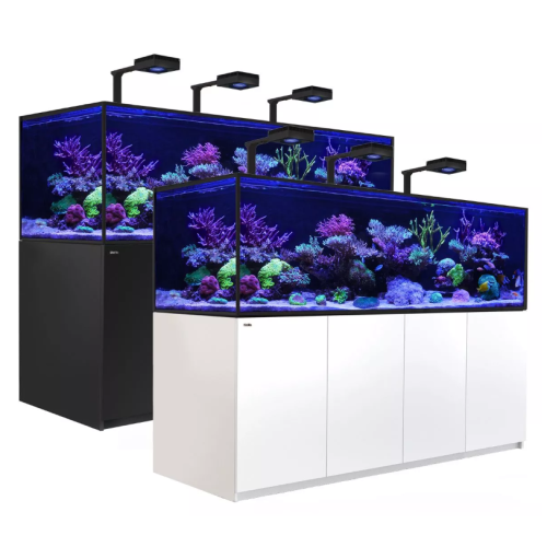 Reefer G2 S 1000 Deluxe - 1