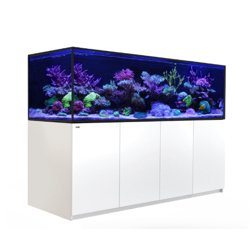 Reefer G2 S 1000 - 1