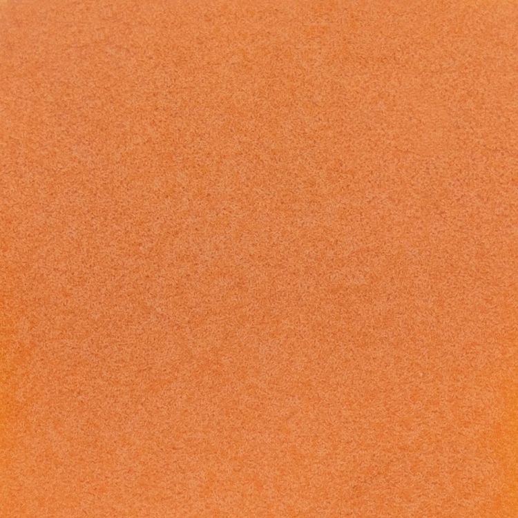 Instant Baby Brine Shrimp (20g) - 4