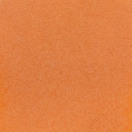 Instant Baby Brine Shrimp (20g) - 4