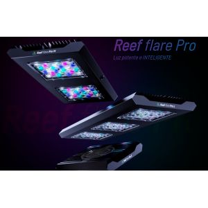 Reef flare Pro - 1