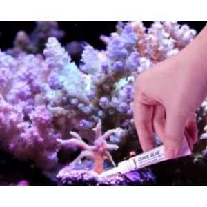 Coral Glue 5gr. (Pack 20un) - 1 2