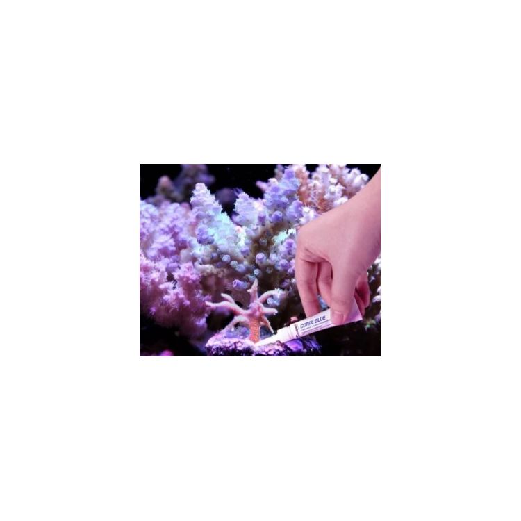Coral Glue 5gr. (Pack 20un) - 2