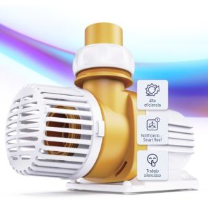 Base Pump séries - 1