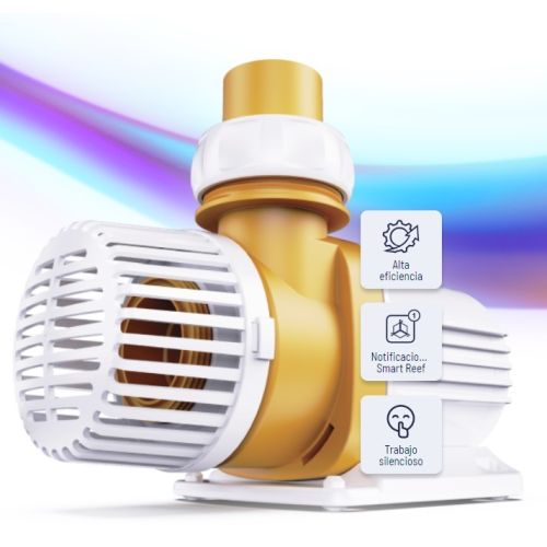 Base Pump séries - 1 Base Pump séries - 1