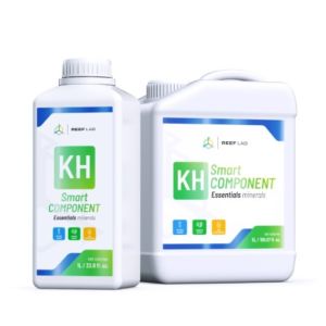 Smart Components kH - 1