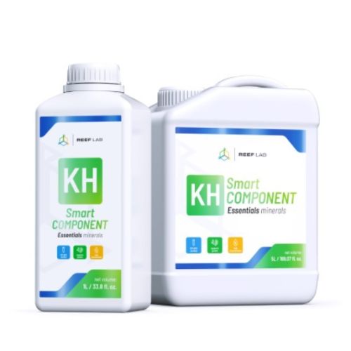 Smart Components kH - 1