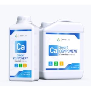 Smart Components Ca - 1