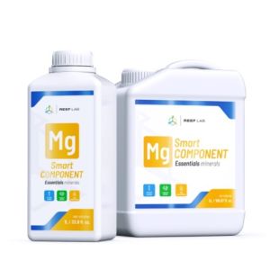 Smart Components Mg - 1