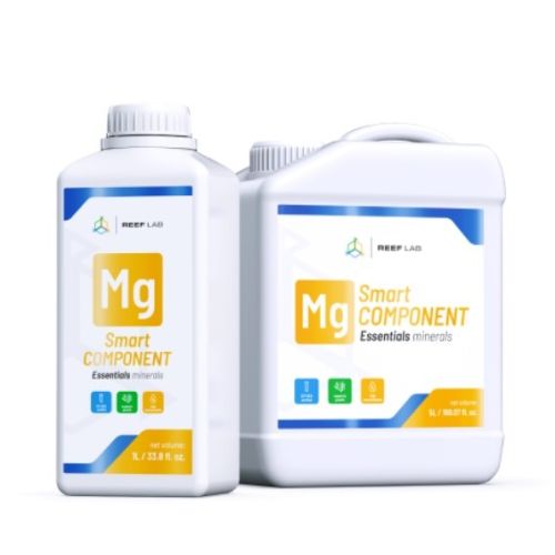 Smart Components Mg - 1