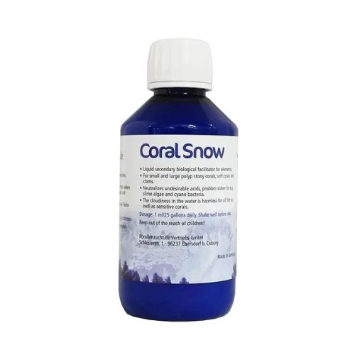 Coral Snow - 1