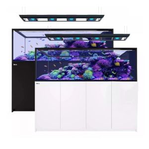 Reefer Peninsula G2+ S 950 Deluxe - 1