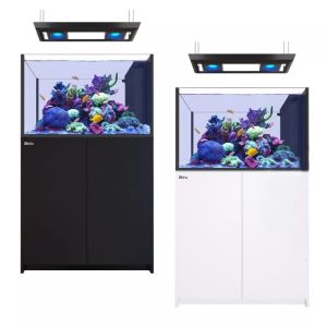 Reefer Peninsula G2+ 350 Deluxe - 1