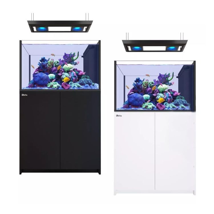 Reefer Peninsula G2+ 350 Deluxe - 1