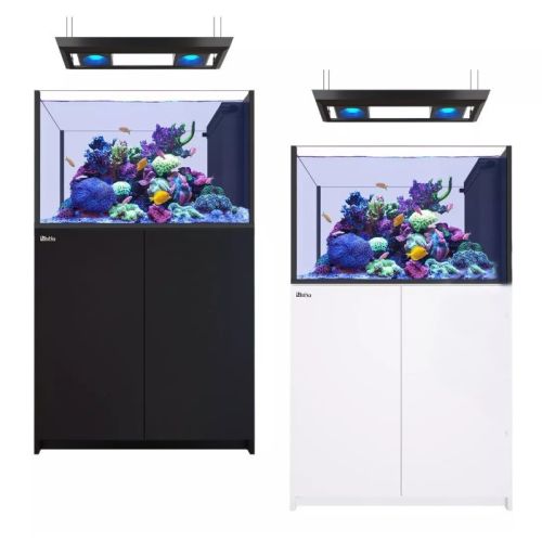 Reefer Peninsula G2+ 350 Deluxe - 1