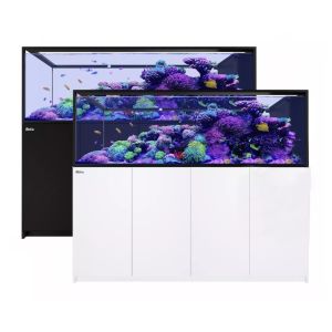 Reefer Peninsula G2+ S 950 - 1