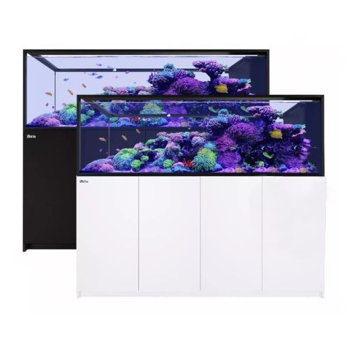 Reefer Peninsula G2+ S 950 - 1