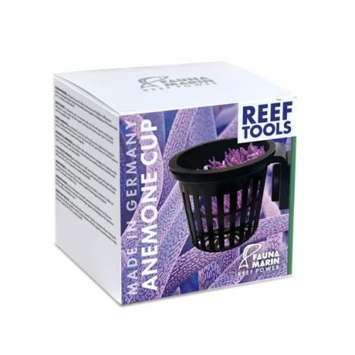 Anemone Cup - 1