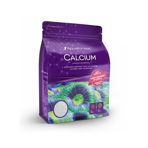 Calcium - 1